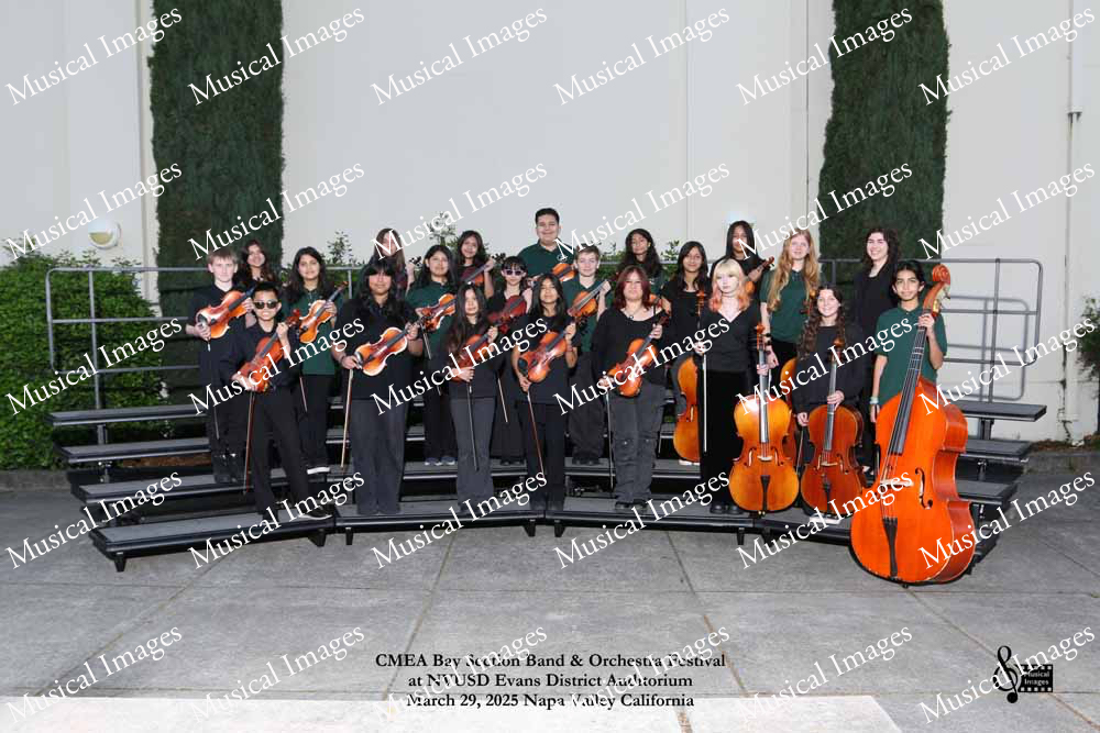 Musical Images